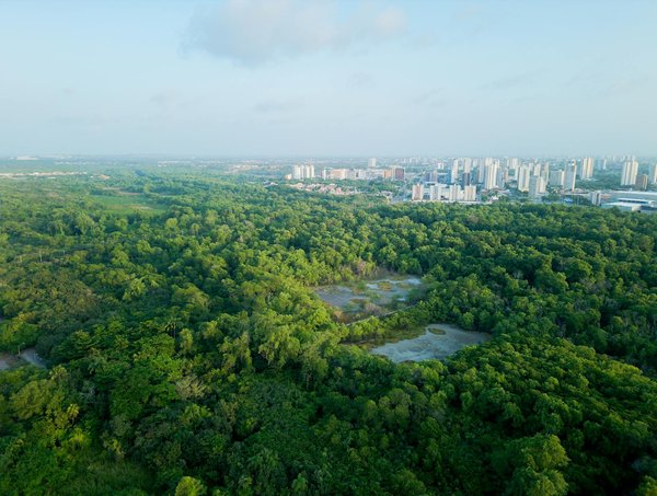 Isolation polyuréthane : améliorez votre confort avec neotech