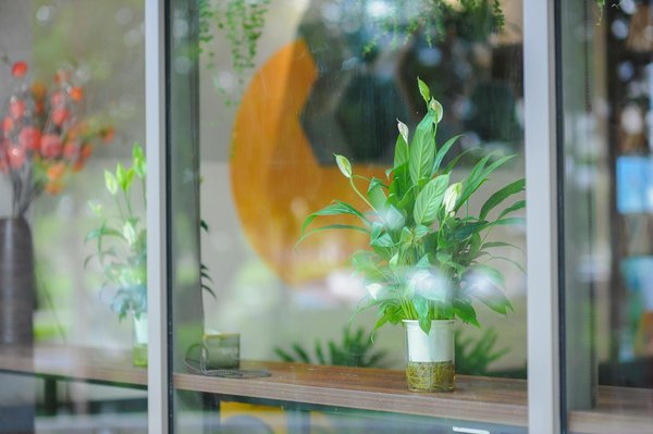 Clés usb publicitaires : tendances éco-responsables et innovantes